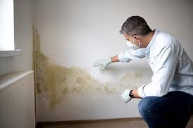 Mold Odor Removal Services in Kotlik, AK